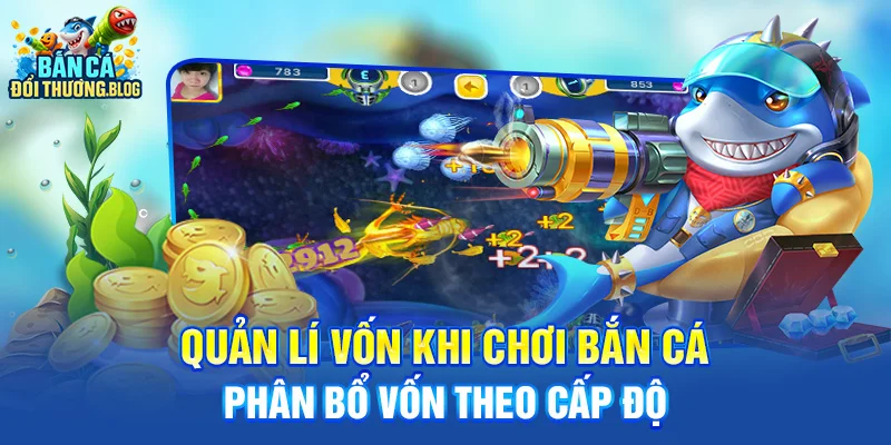 Quản lí vốn khi chơi bắn cá - phân bổ vốn theo cấp độ