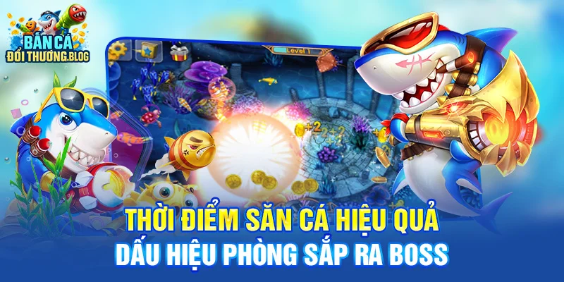 Thời điểm săn cá hiệu quả - dấu hiệu phòng sắp ra boss